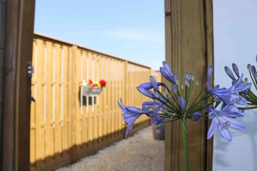 St Agnes Perfect Location, Hot Tub, Sea Views, Gym Appartement Buitenkant foto