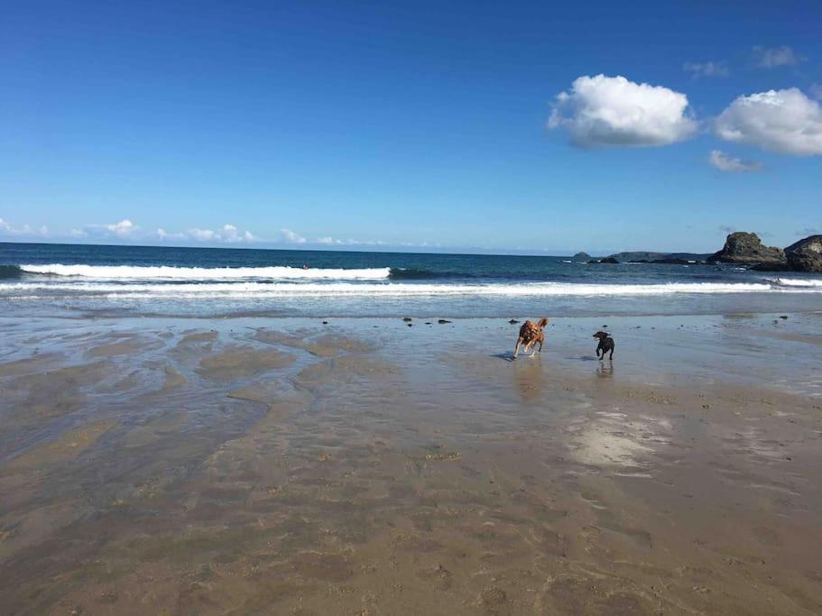 St Agnes Perfect Location, Hot Tub, Sea Views, Gym Appartement Buitenkant foto